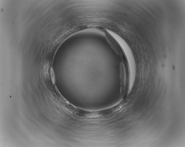 X0000052930219200507221129