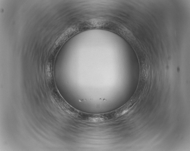 X0000052930220200507221129