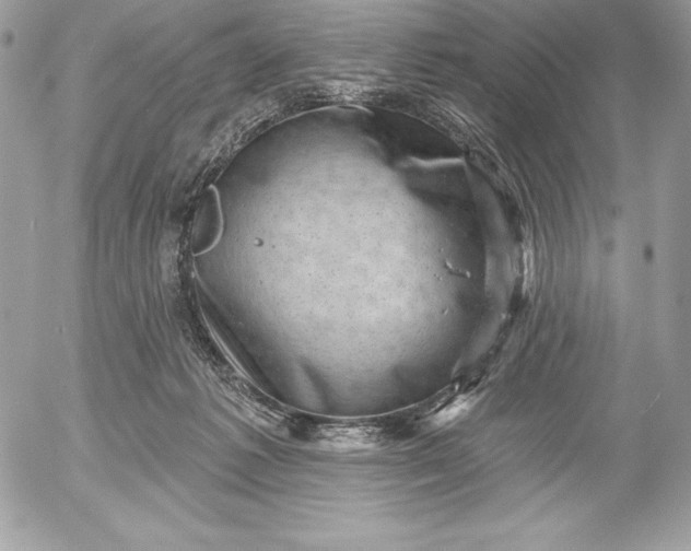 X0000052930221200507221129