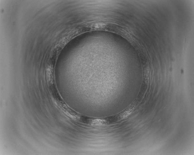 X0000052930222200507221129