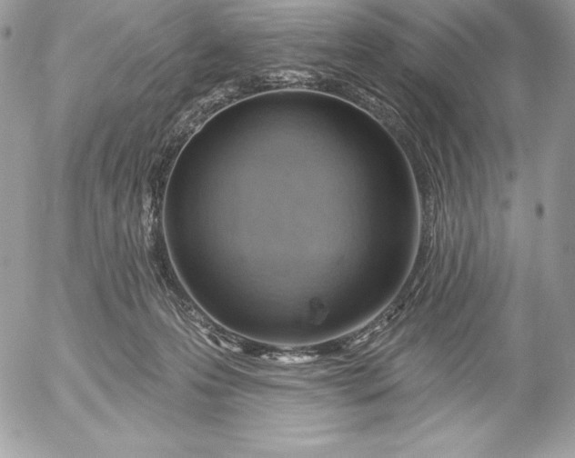 X0000052930223200507221129