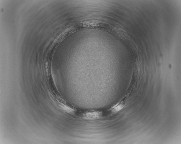 X0000052930224200507221129