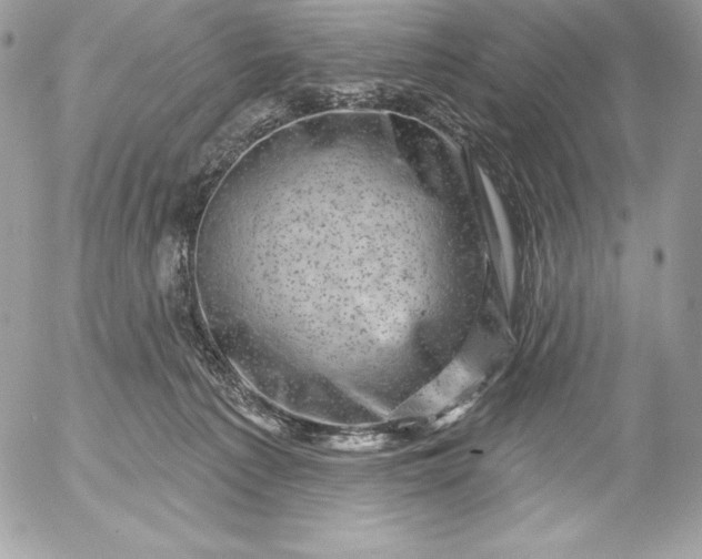 X0000052930225200507221129