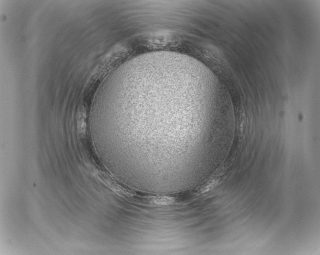 X0000052930226200507221129