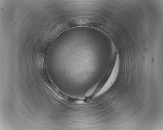 X0000052930227200507221129