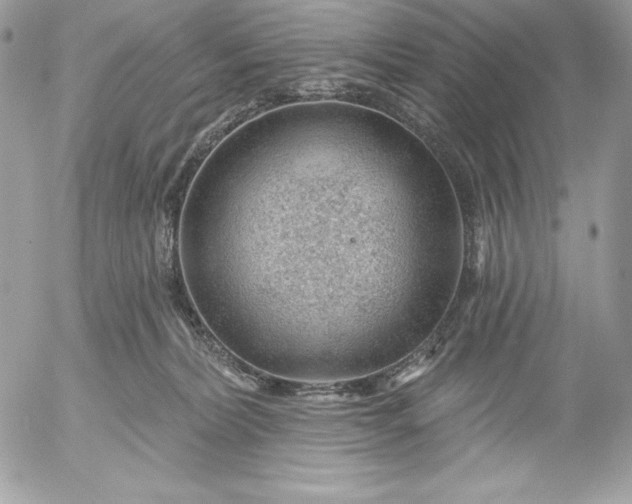 X0000052930228200507221129