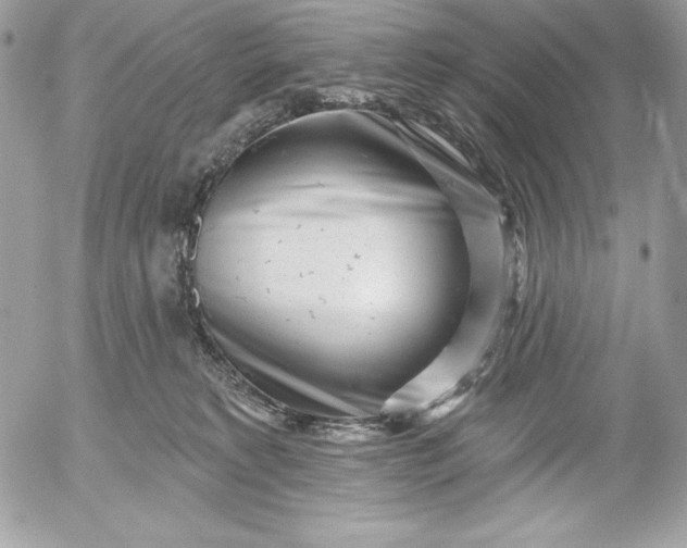 X0000052930229200507221129