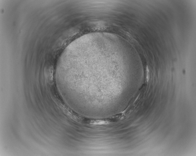 X0000052930230200507221129