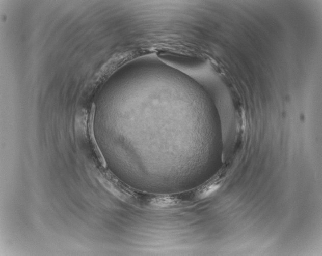 X0000052930231200507221129