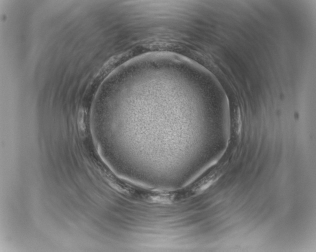 X0000052930232200507221129