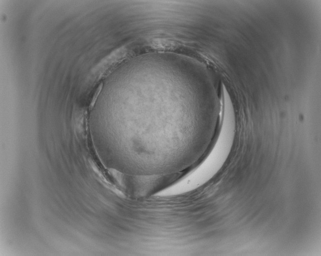 X0000052930233200507221129