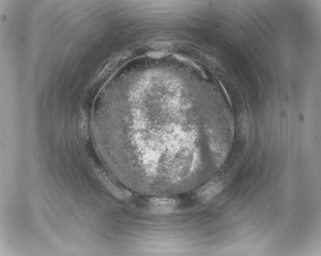 X0000052930234200507221129