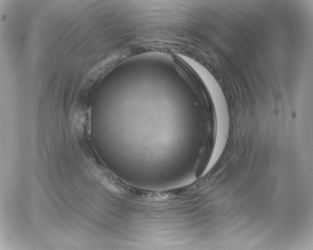 X0000052930235200507221129