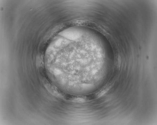 X0000052930236200507221129