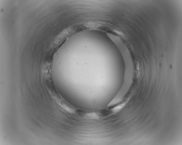 X0000052930237200507221129