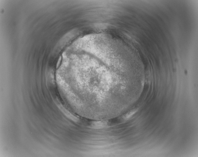 X0000052930238200507221129