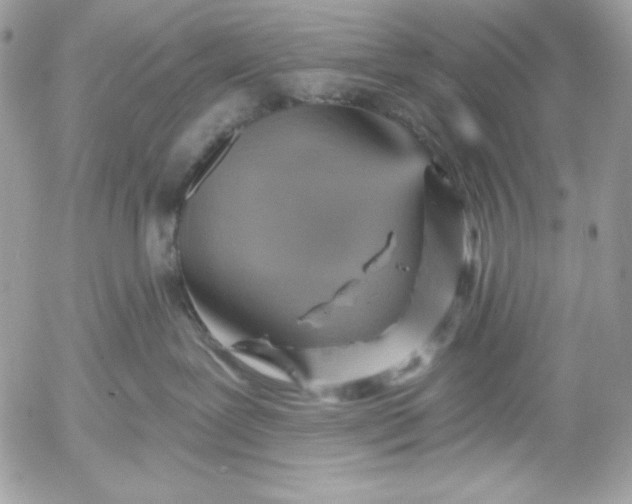 X0000052930239200507221129