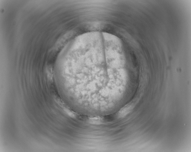 X0000052930240200507221129