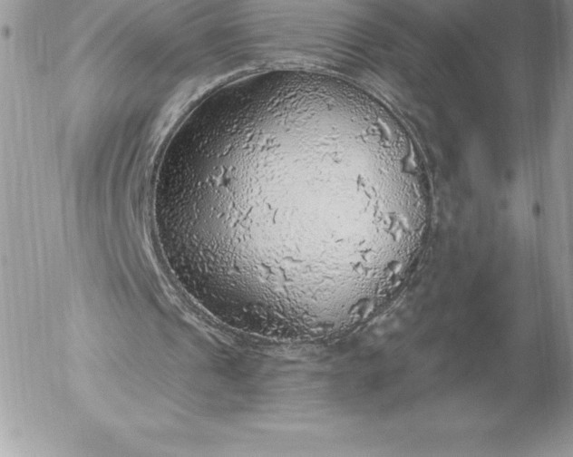 X0000052930241200507221128