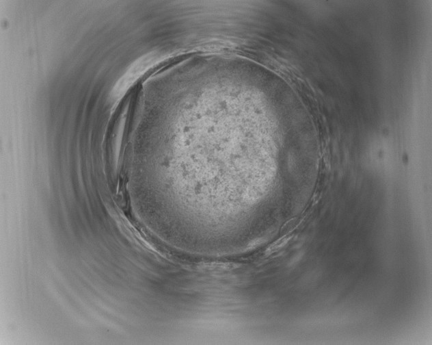 X0000052930242200507221128