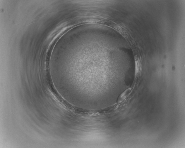 X0000052930243200507221128