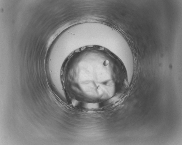 X0000052930244200507221128