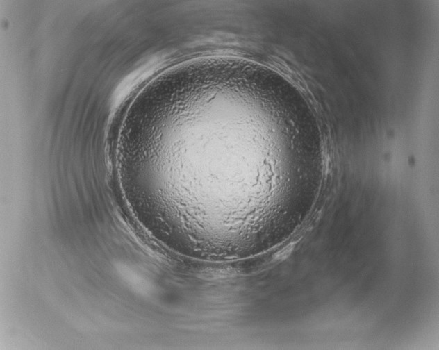 X0000052930245200507221128