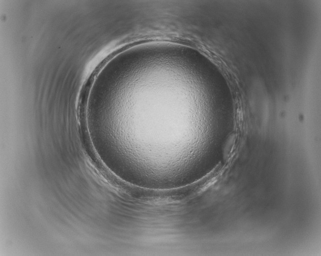 X0000052930246200507221128