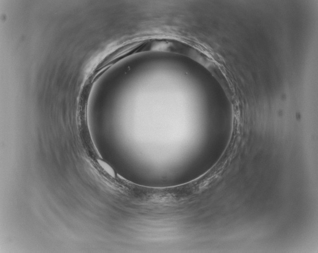 X0000052930248200507221128