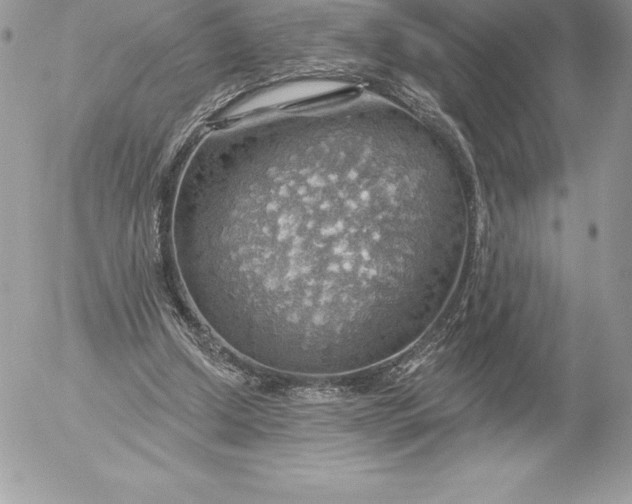 X0000052930250200507221128