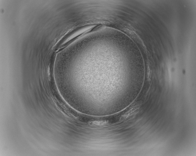 X0000052930251200507221128