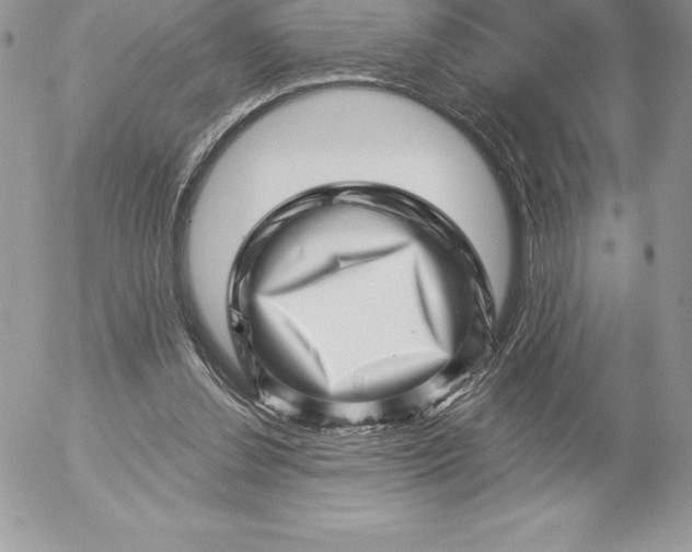 X0000052930252200507221129