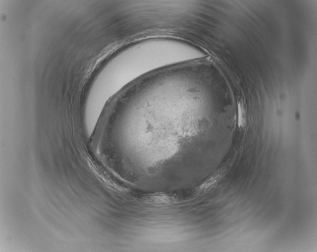 X0000052930253200507221129