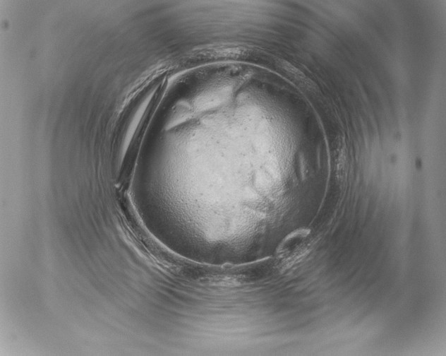 X0000052930254200507221129