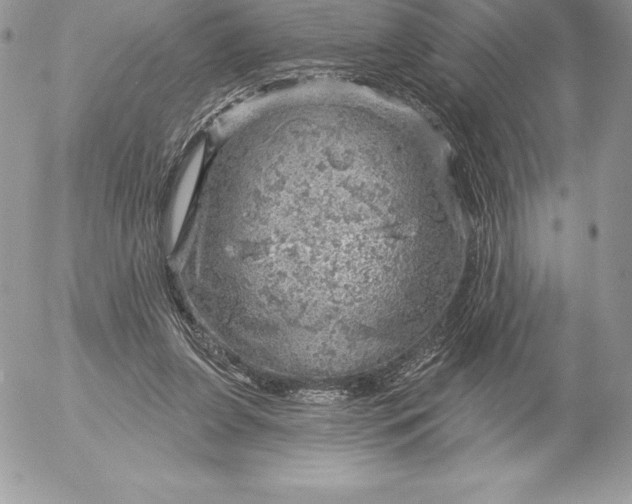 X0000052930255200507221129