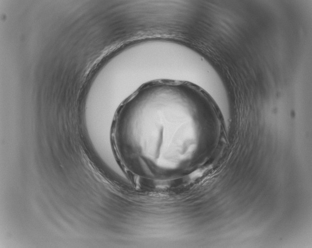 X0000052930256200507221129