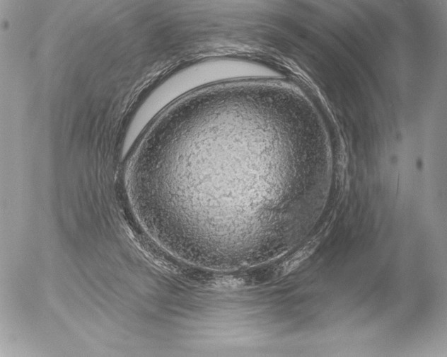 X0000052930257200507221129