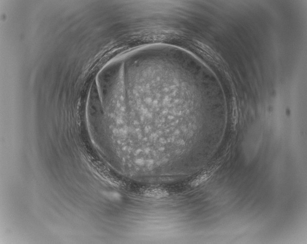 X0000052930258200507221129