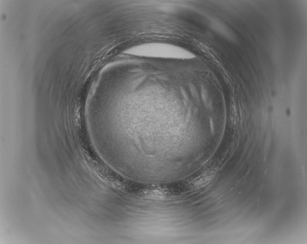 X0000052930259200507221129