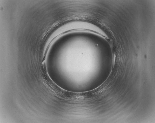 X0000052930260200507221129