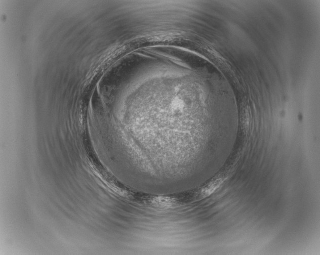 X0000052930261200507221129