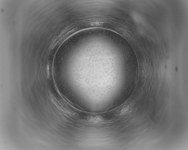 X0000052930262200507221129