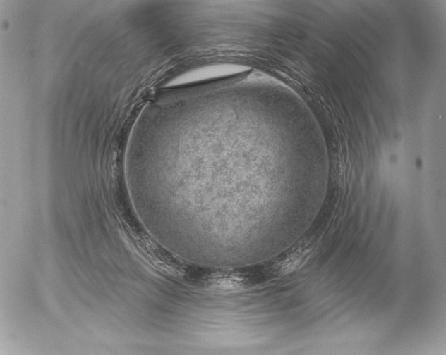 X0000052930263200507221129