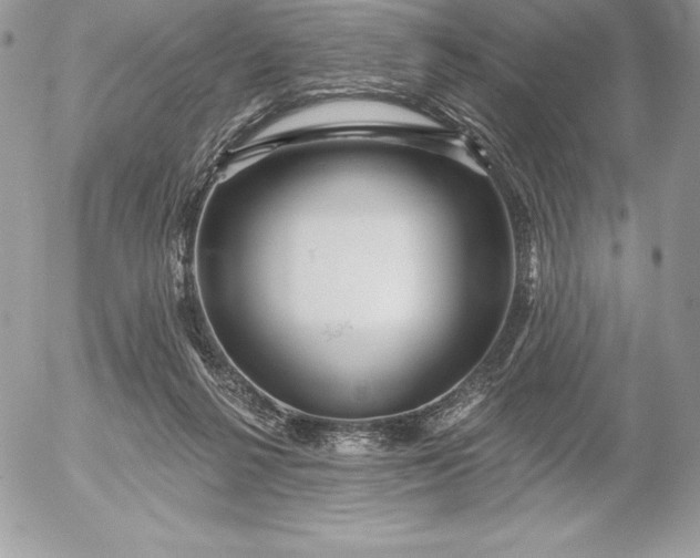 X0000052930264200507221129