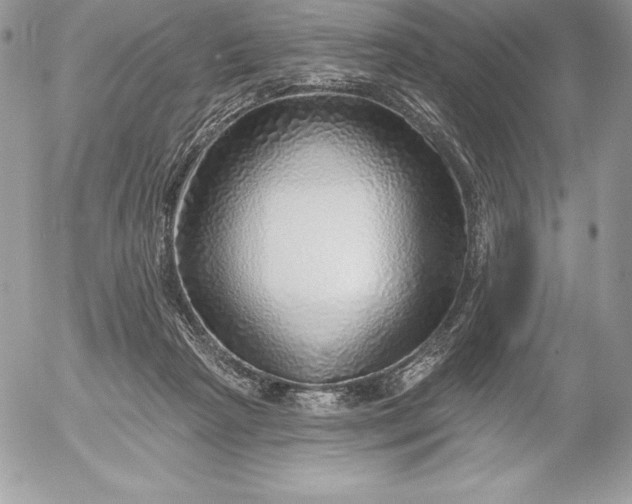 X0000052930265200507221129