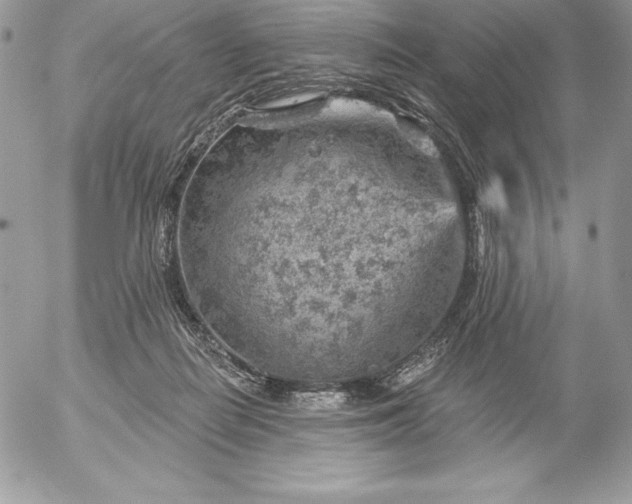 X0000052930266200507221129