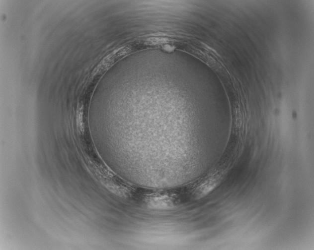 X0000052930267200507221129