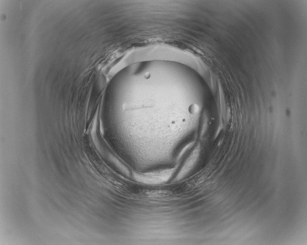 X0000052930268200507221129