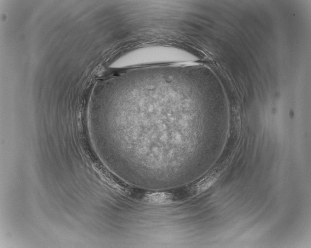 X0000052930269200507221129