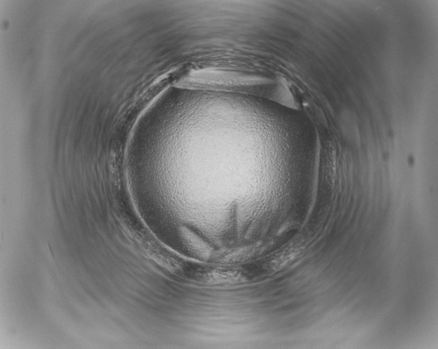 X0000052930270200507221129